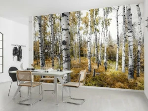 Komar Флизелиновые обои с пейзажами Wanderlust Shx9-015