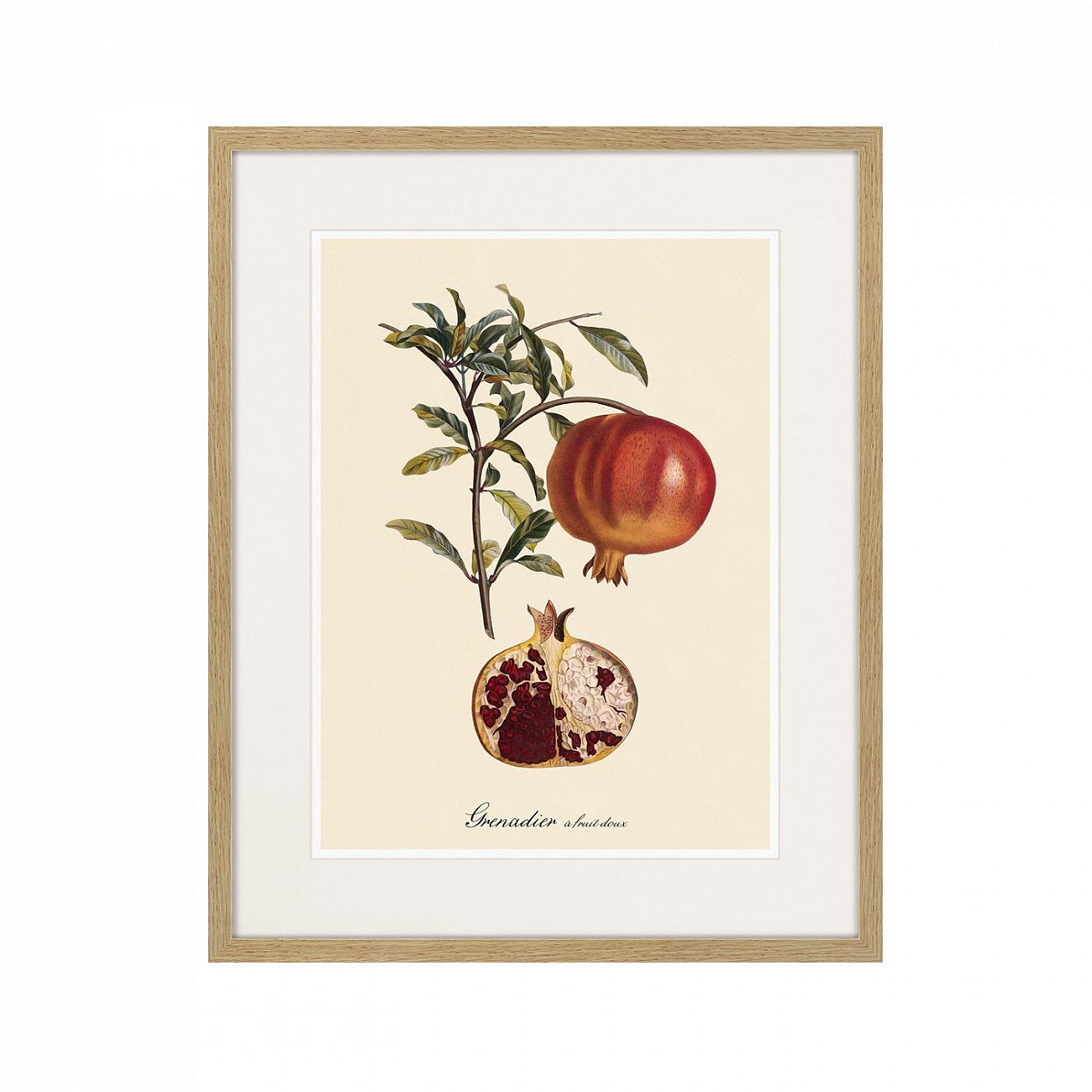 Картина в раме 52х42 см Juicy fruit lithography №7, 1870г. КАРТИНЫ В КВАРТИРУ  264435 Зеленый;красный;разноцветный  - Вид №1
