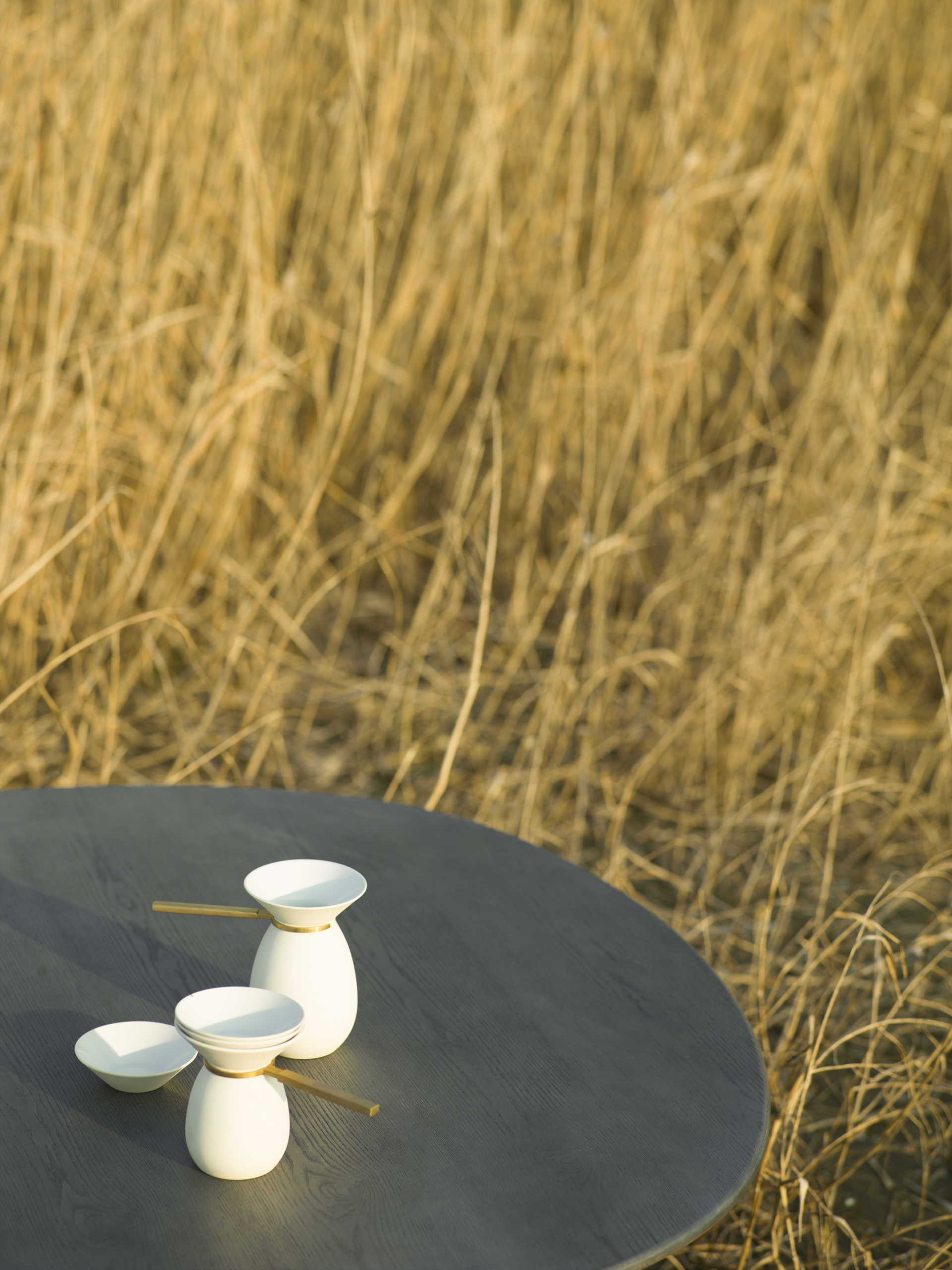 Арита Ликвид Stellar Works AR-LS3-S
AR-LS3-L
AR-LS3-C  - Вид №12