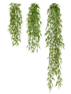 20.1415N Бамбук ампельный Цветочная коллекция