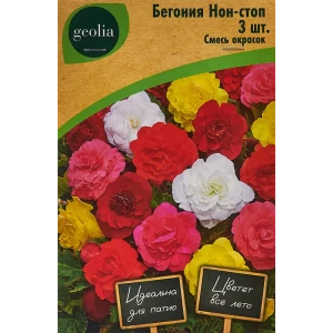 Бегония Нон-стоп смесь окрасок Geolia 3 шт 86408538 STLM-2062689