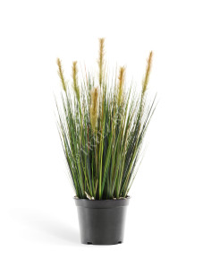 20.1040S Трава Осока куст с зелёными султанами Цветочная коллекция