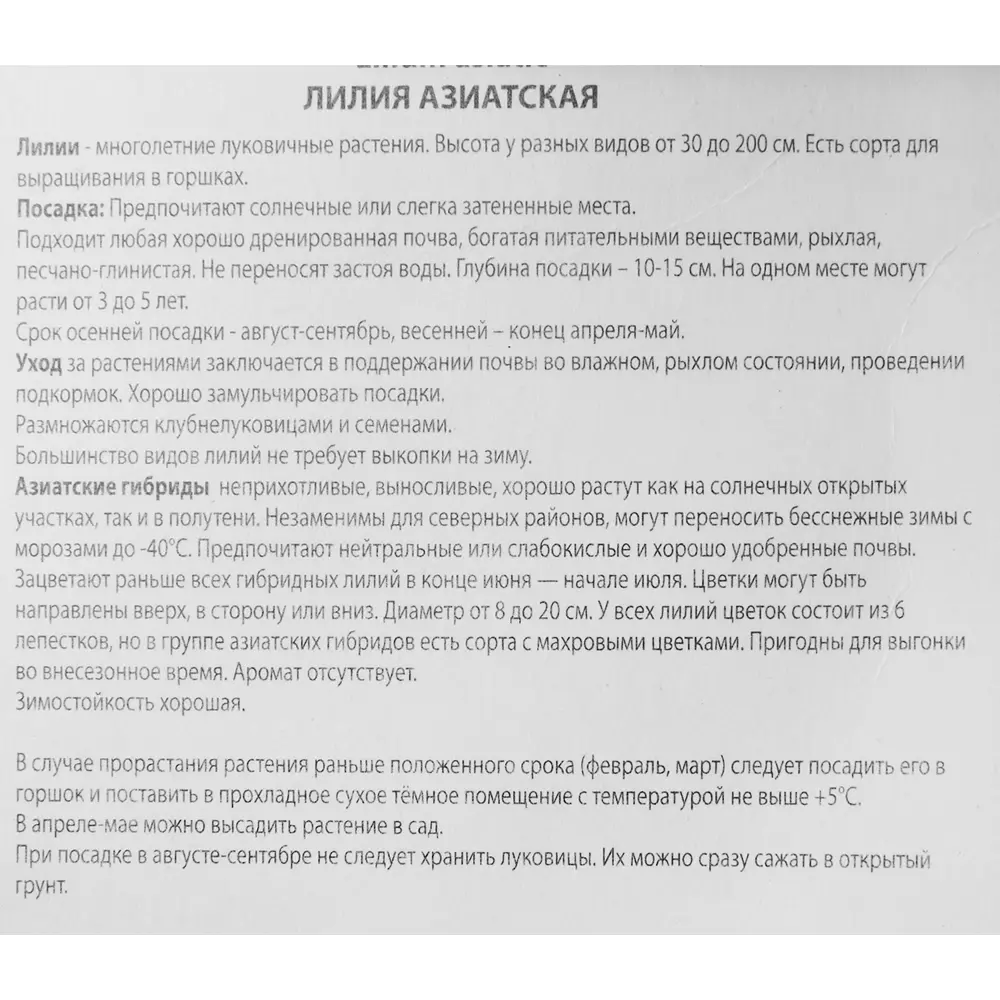 Лилия азиатская Дарк Секрет 85186026 STLM-2075841 ПОИСК  - Вид №2