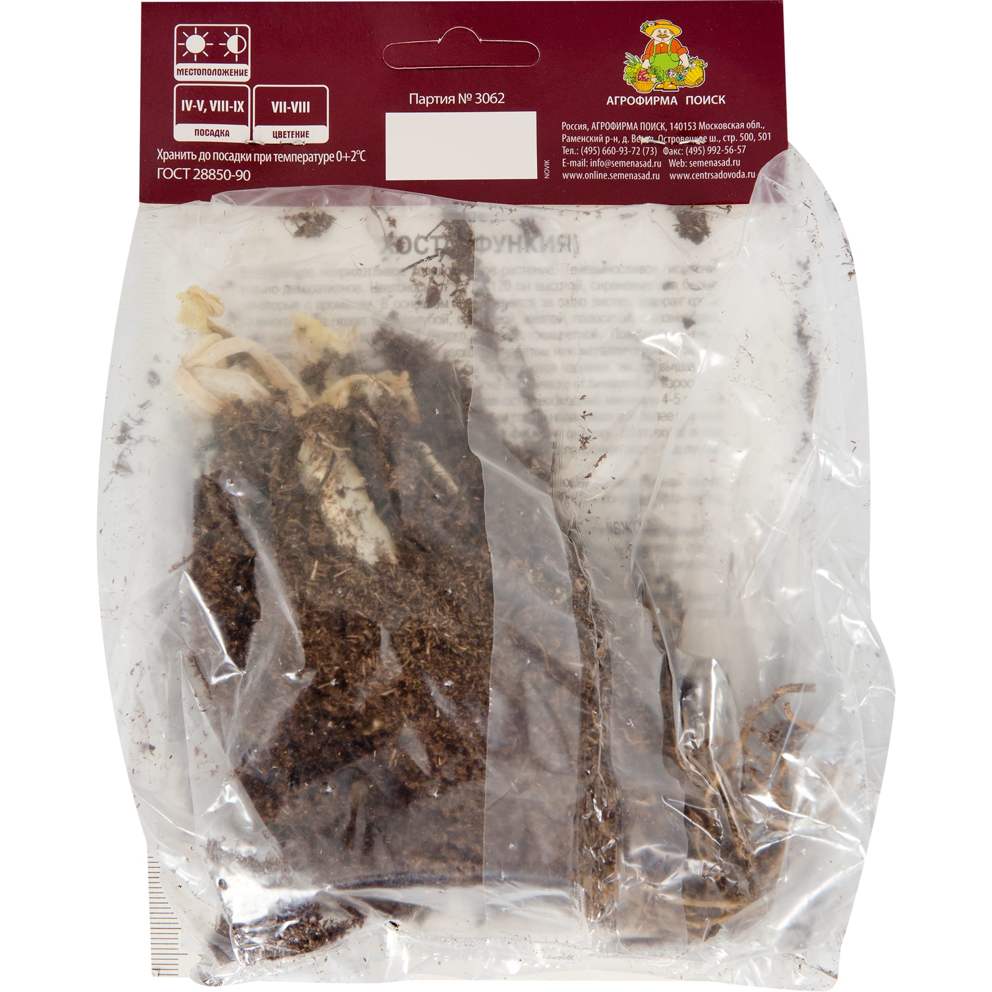 82118740 Хоста гибридная «Фрейгрант Букет», 1 шт Santreyd  - Вид №1