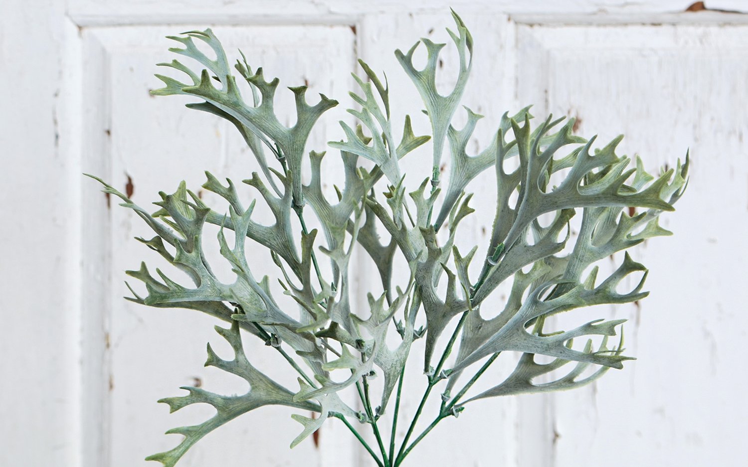 4380 809 a3 Искусственный папоротник олений рог, 35 см, зелено-серый H-andreas  - Вид №1