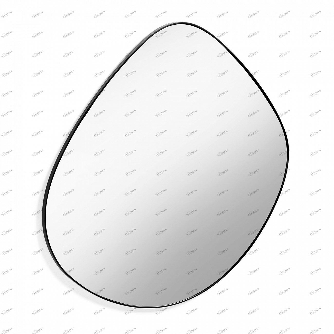 Зеркало настенное Anera от La Forma LA FORMA ДИЗАЙНЕРСКИЕ 342898 Черный 
