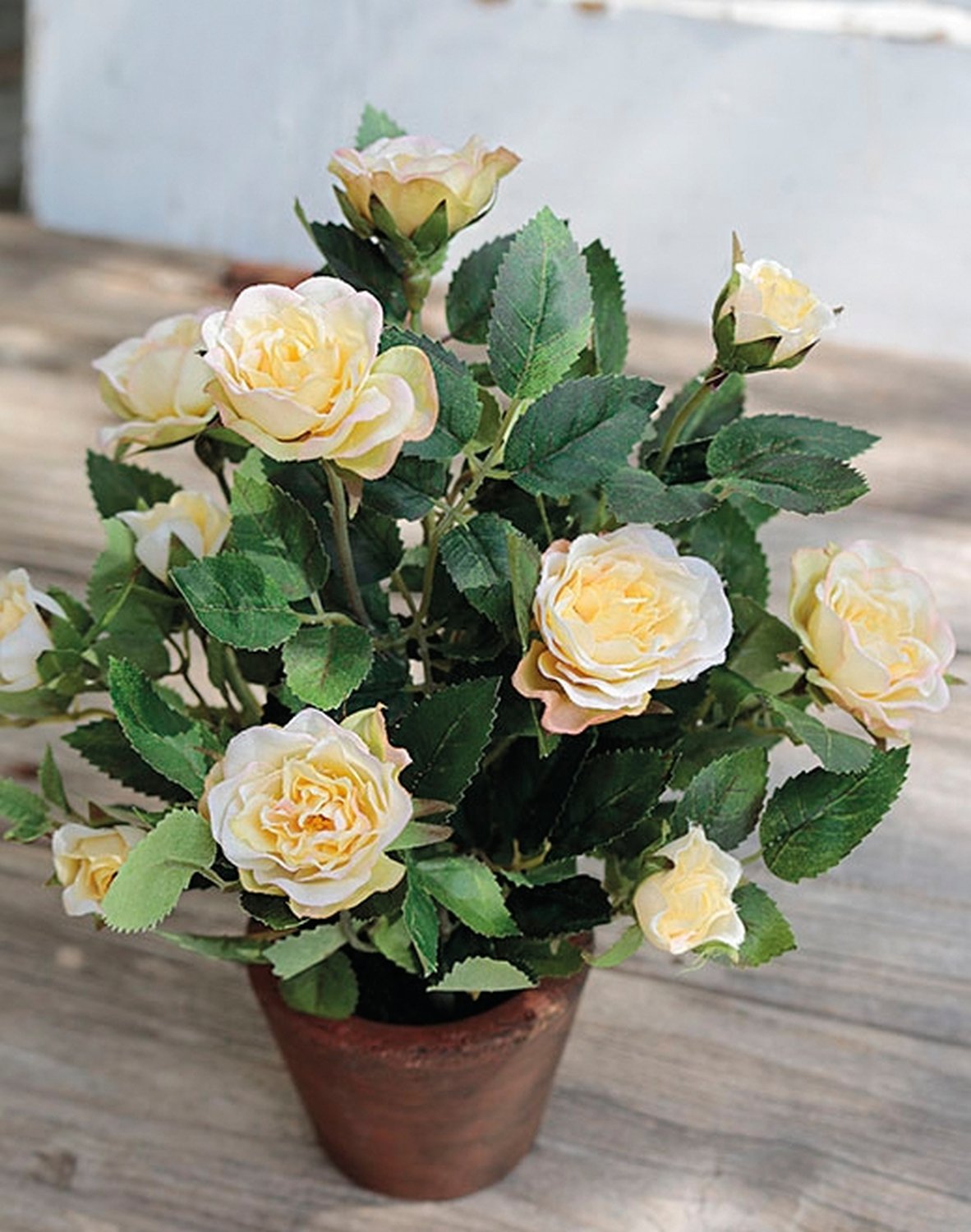 2146 733 a2 Шелковые розы кустовые, горшечные, 23 см, бежево-желтые H-andreas  - Вид №2