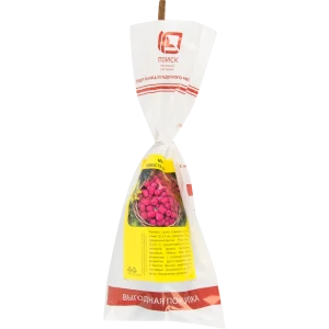 Малина Новость Кузьмина h40 см 83791453 STLM-2171104