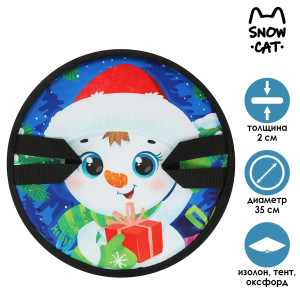 90725795 Ледянка 7101923 35x2x35 см STLM-0357207 SHOW CAT