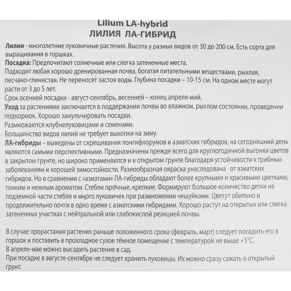 Лилия ла-гибрид Дезерт Инн 85205749 STLM-2116394 ПОИСК  - Вид №2