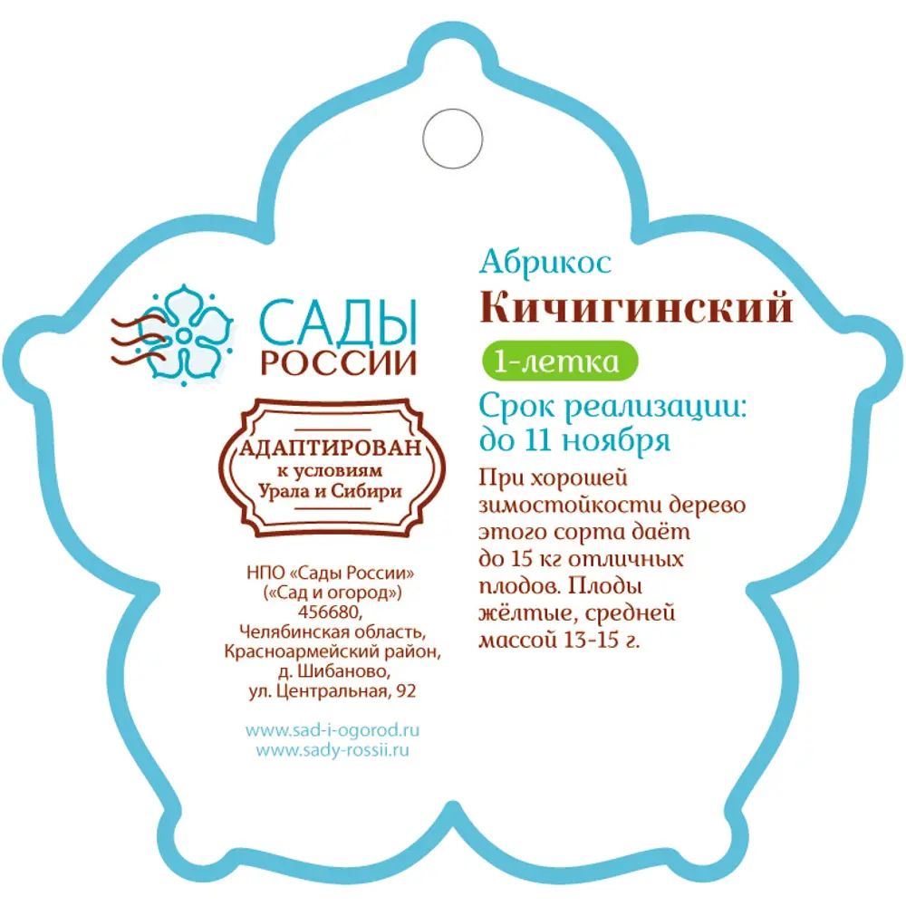 Абрикос «Кичигинский» 1 год 12.5x30-50 см 82610412 STLM-2142897 Santreyd  - Вид №1
