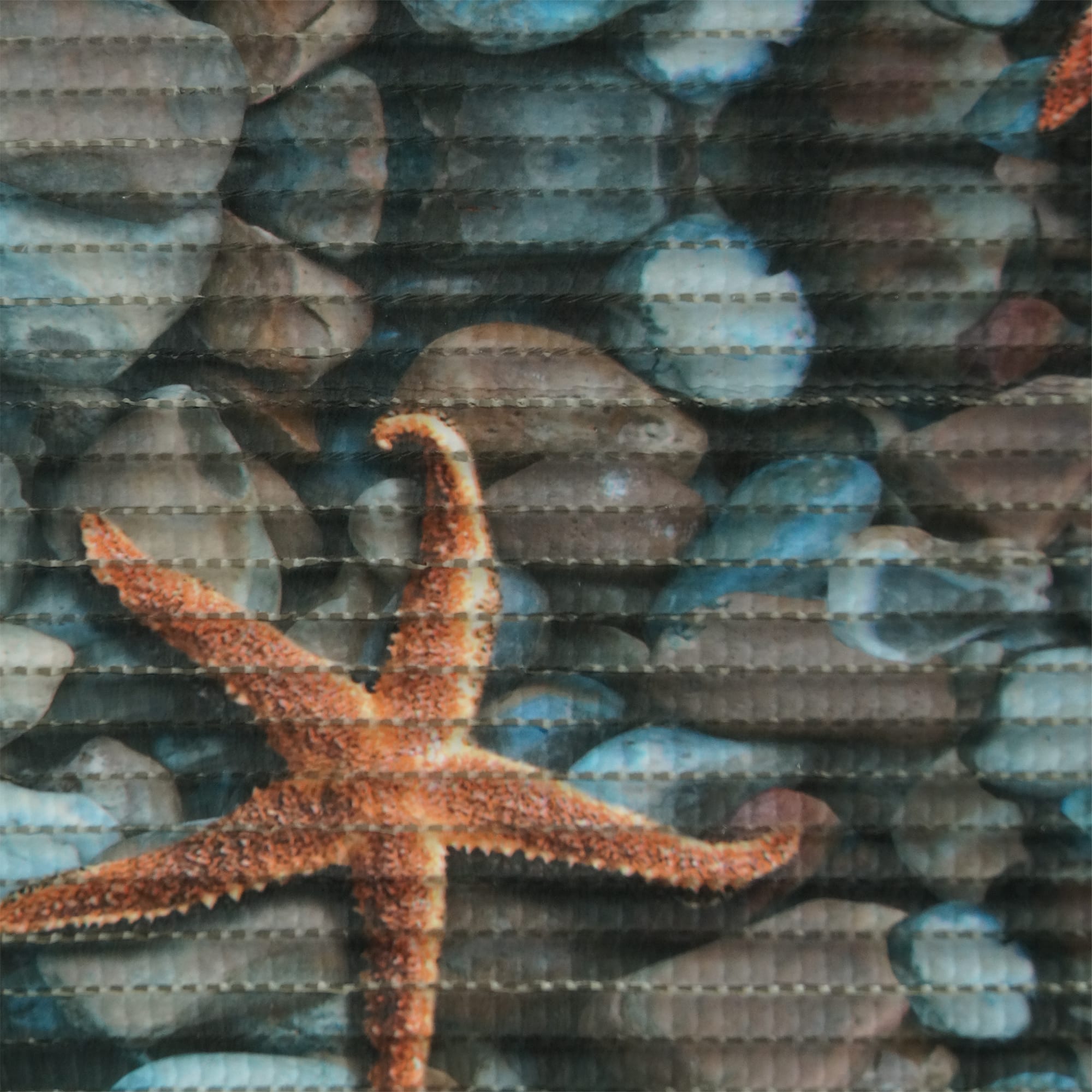 81955723 Дорожка ковровая «Фото» FV2 ПВХ 65 см Santreyd 