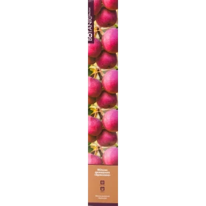 Яблоня Брянское в тубе 82539584 STLM-2127730