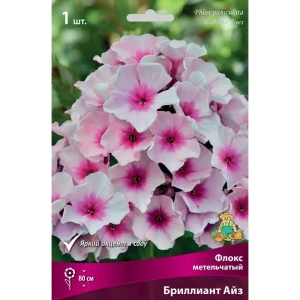 Флокс метельчатый Бриллиант Айз луковица I 83600067 STLM-2162135