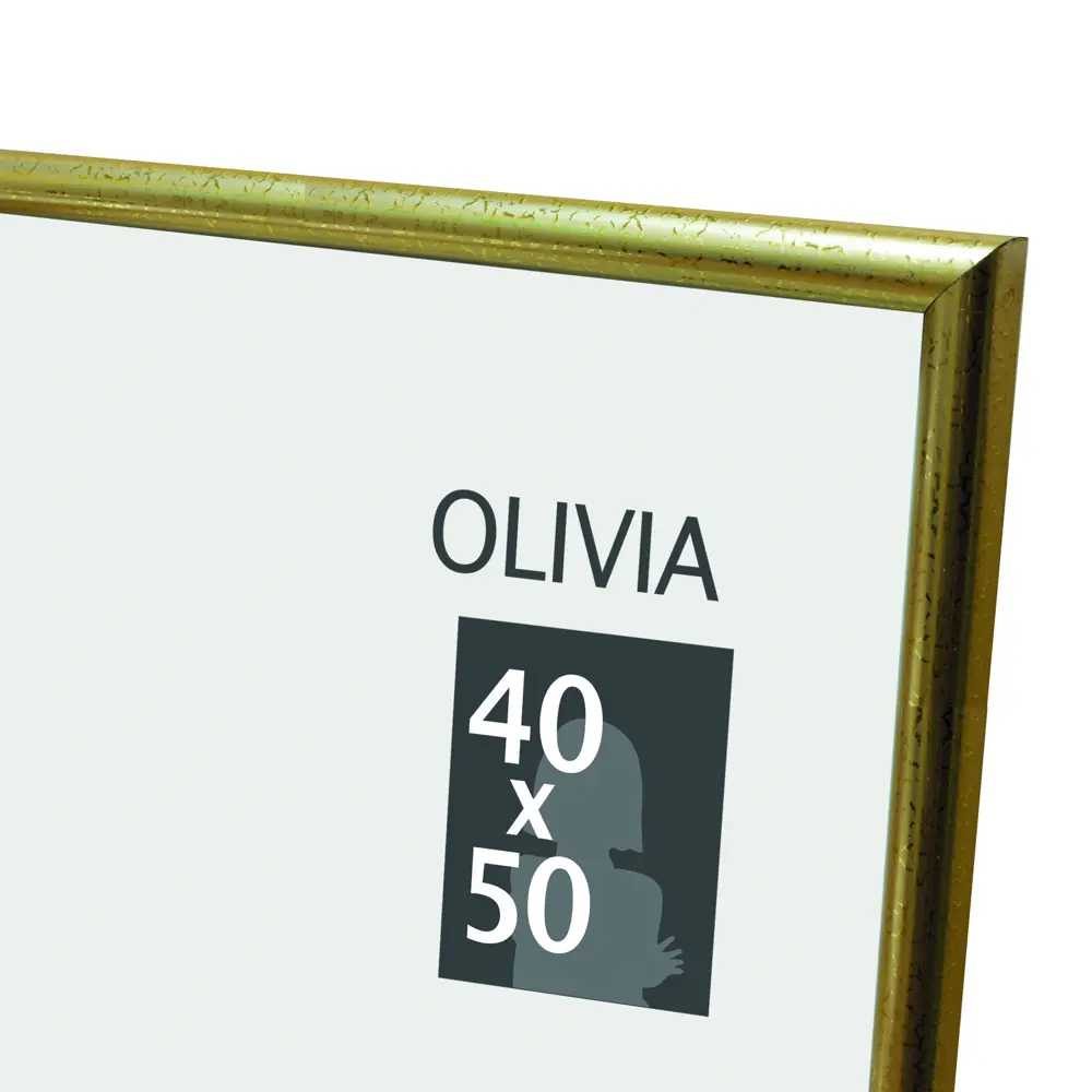 Рамка Olivia 40x50 см пластик цвет золото 86109083 STLM-2113632 Santreyd 