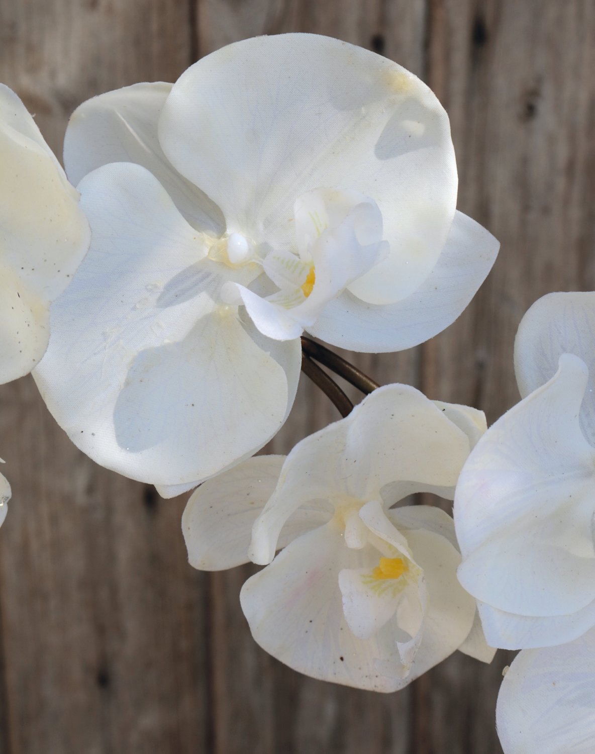 2526 700 a2 Искусственная орхидея Phalaenopsis, 73 см, real touch, чистый белый H-andreas  - Вид №2