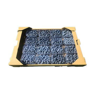 Голубика в ящике ~3 кг Santreyd 19941