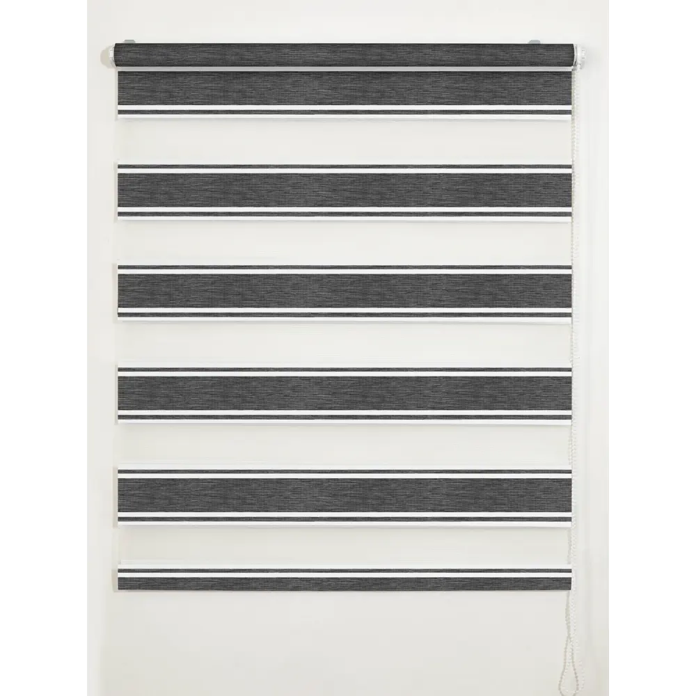 Штора рулонная день-ночь Дэли 55x160 см серая MIAMOZA STLM-2175201