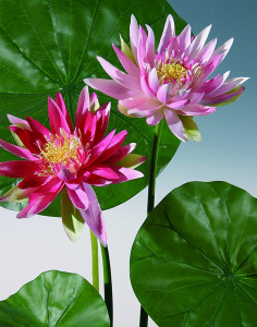 3897 510 a2 Искусственная кувшинка, 65 см, розовая H-andreas