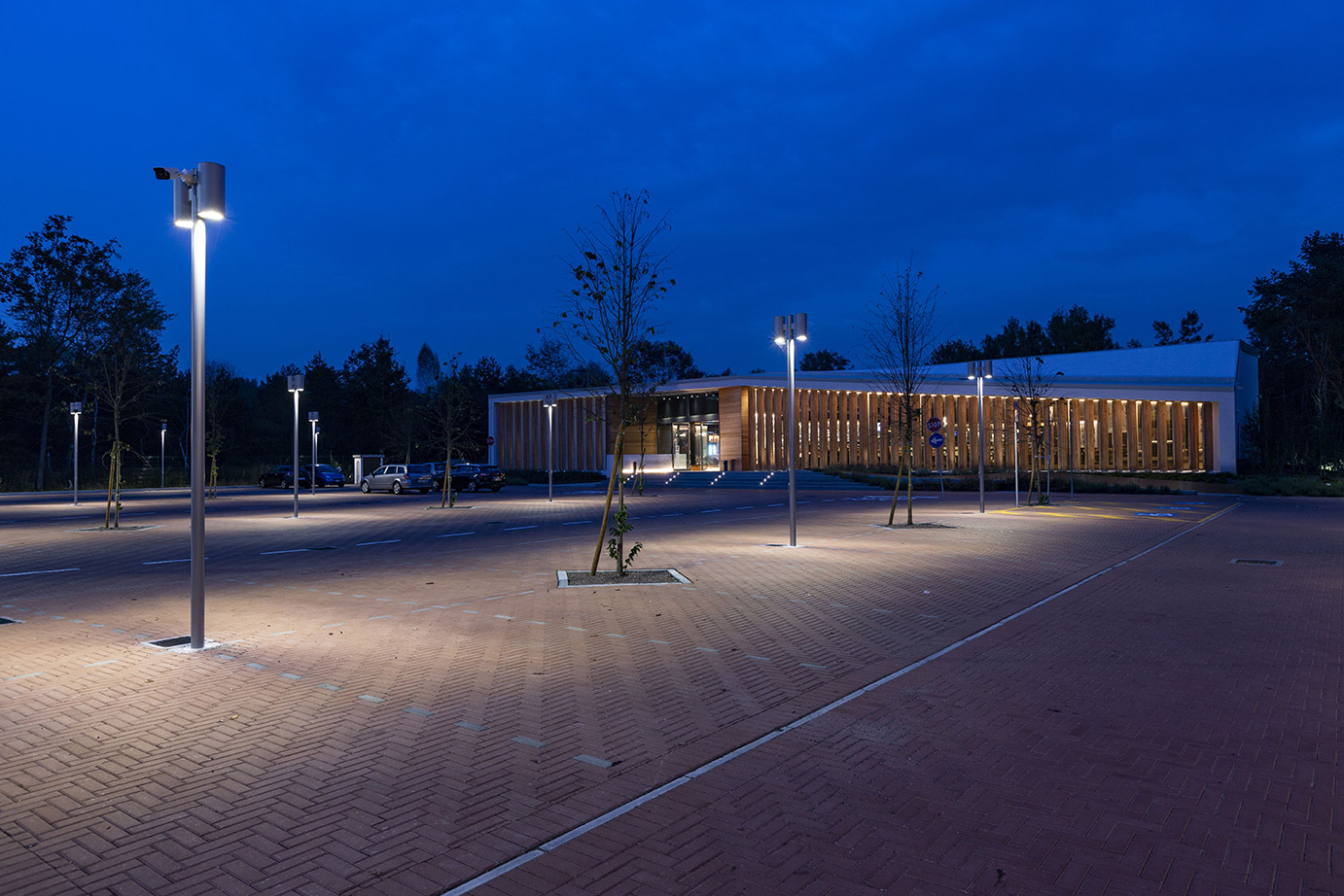 8755769 Уличное освещение  Platek MONACO Su palo  MONACO - LED 4000K Street optic  - Вид №4