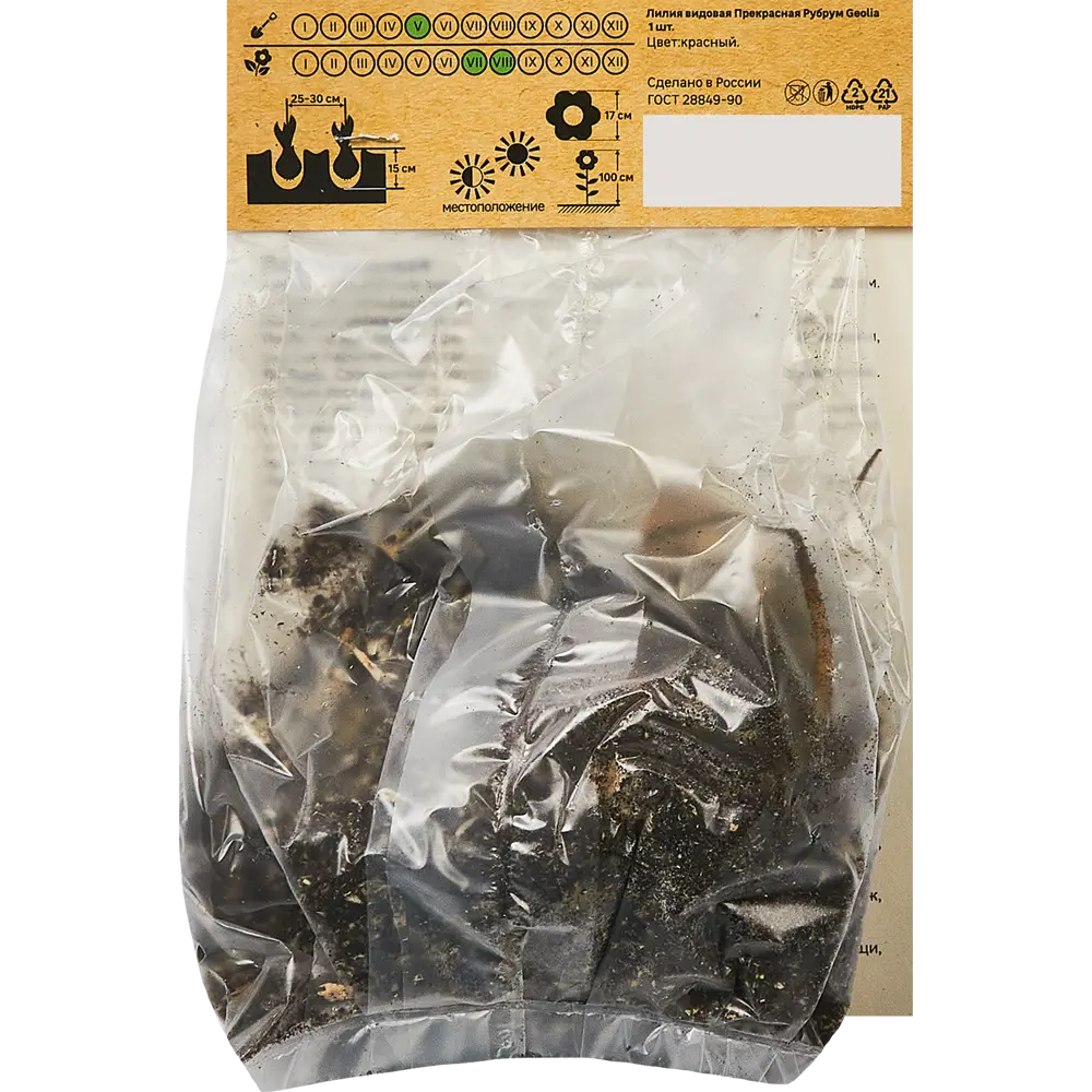 Лилия Geolia видовая Прекрасная Рубрум STLM-2096302 - Вид №1