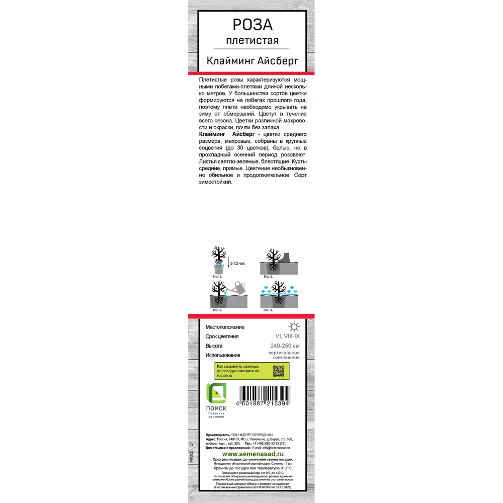 Роза плетистая Клайминг айсберг h37 см 83786602 STLM-2209939 Santreyd  - Вид №2