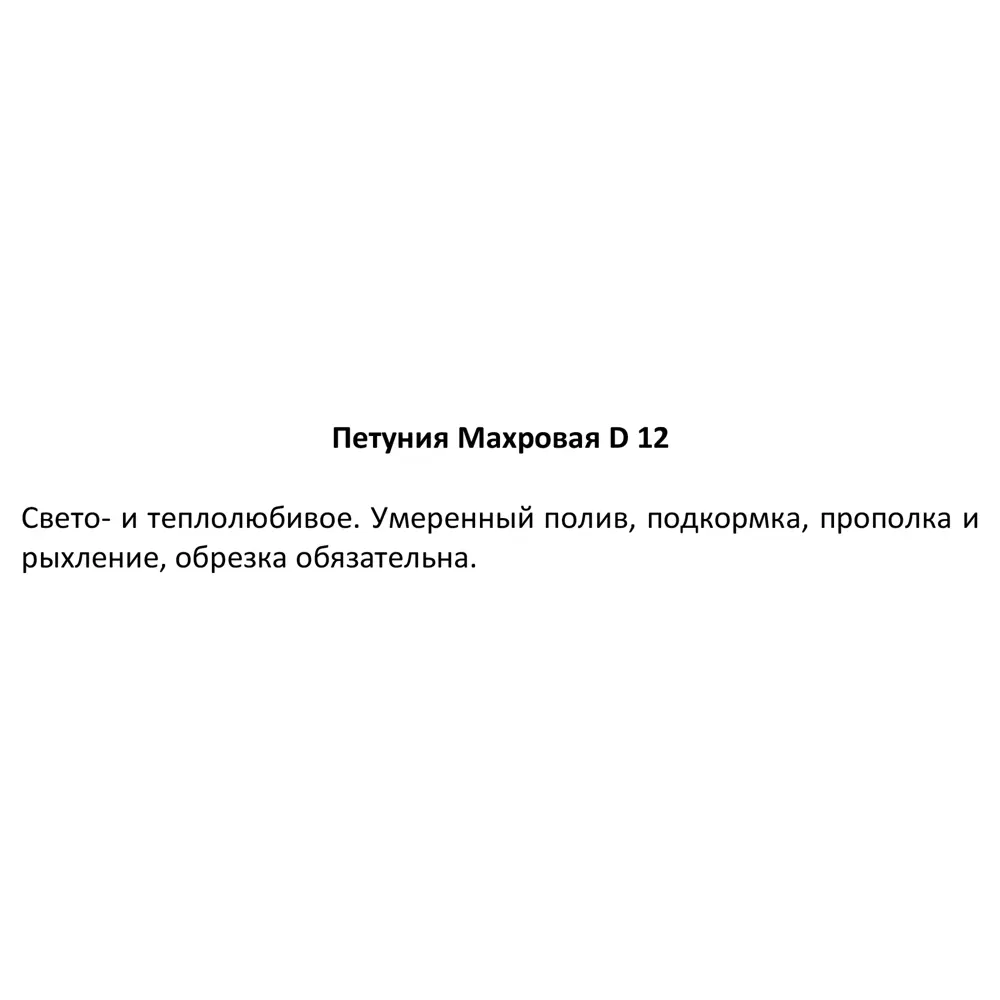 Петуния махровая ø12 h25 см 83248447 STLM-2048224 Santreyd  - Вид №3