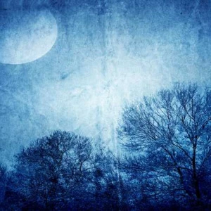 WP02010 Фотообои Verol Фотообои decoline 1х1 м