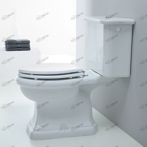 PA00300001 Компакт унитаз с бачком Белый Disegno Ceramica Paolina Италия