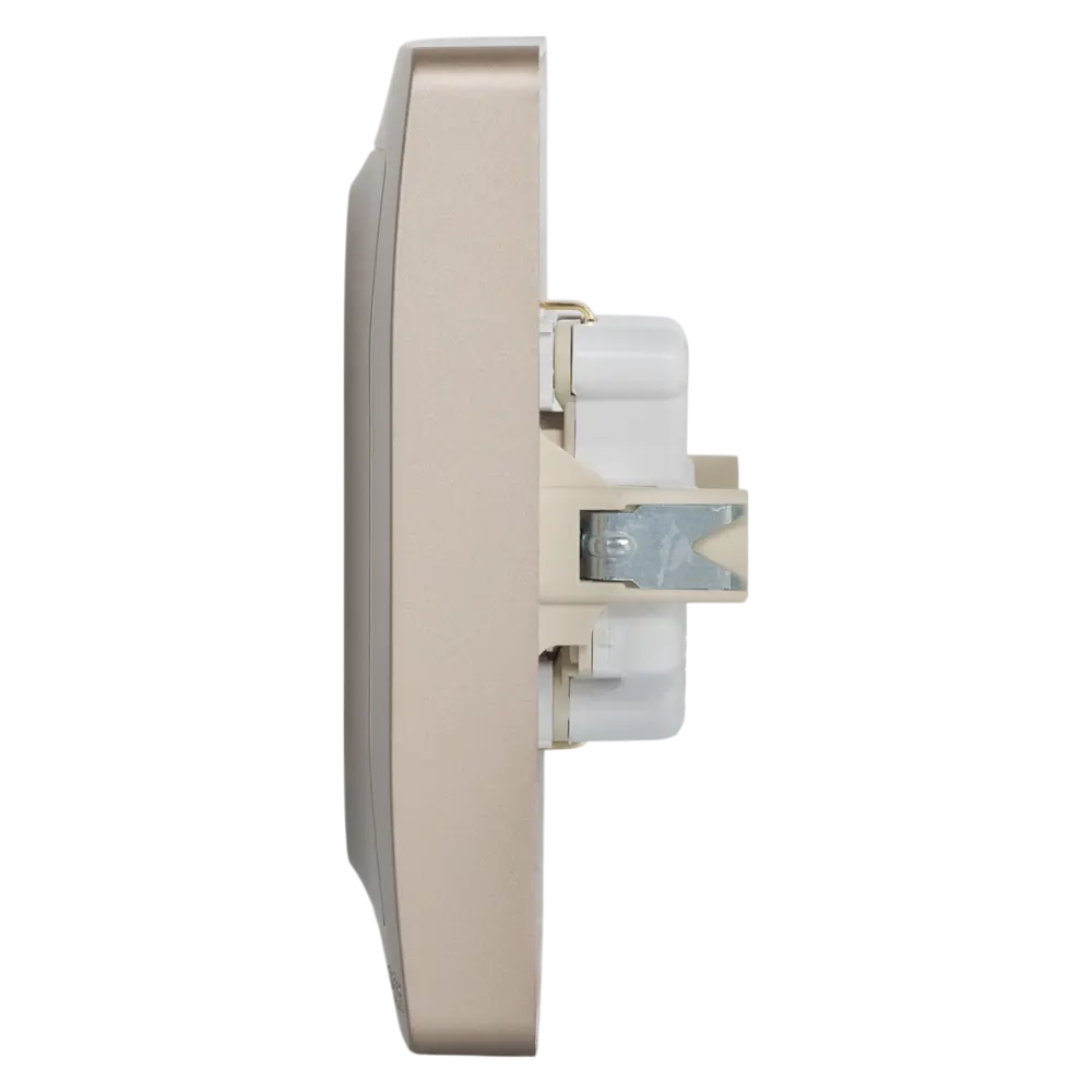 Розетка двойная встраиваемая Systeme Electric Blanca с заземлением со шторками цвет титан STLM-2182332 - Вид №3