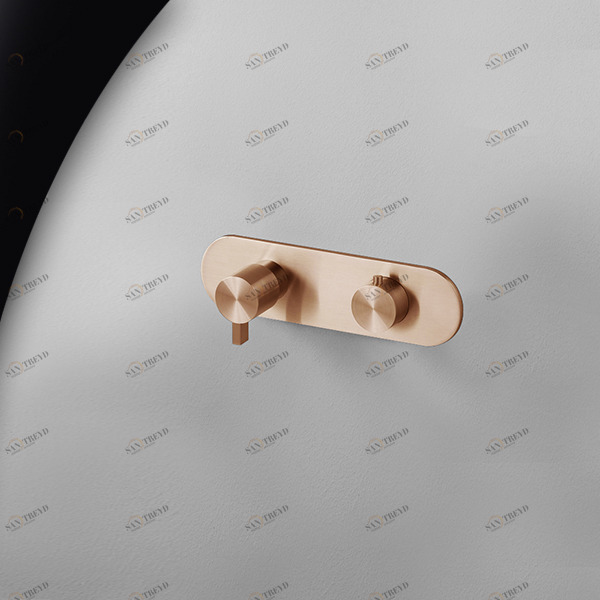 Термостат для душа розовое золото TOOX Radomonte TXQ53R