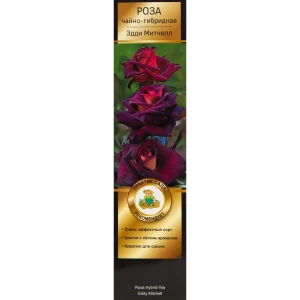 Роза Мейян чайно-гибридная «Эдди Митчел» 82150701 STLM-2096784