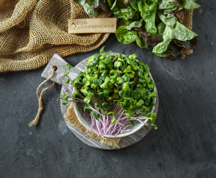 5505 Микрозелень редиса "Чайна Роуз" Вкусляндия 