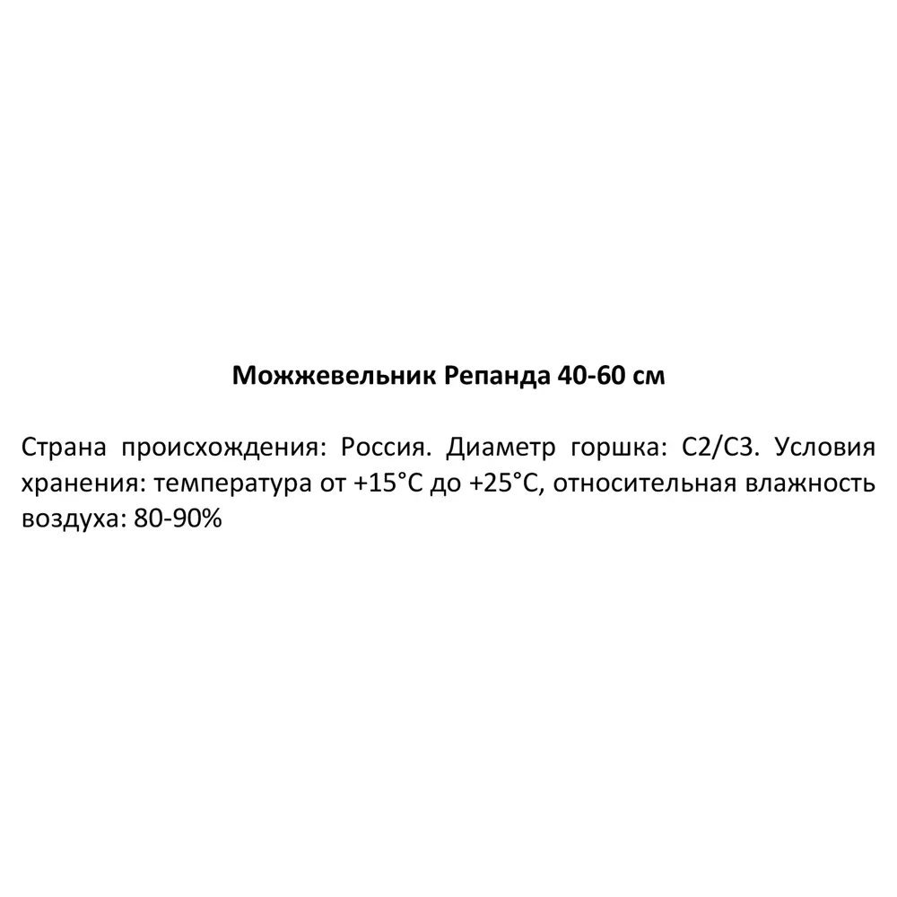 Можжевельник обыкновенный Репанда ø19 см h40-60 см 85088129 STLM-2049874 Santreyd  - Вид №2