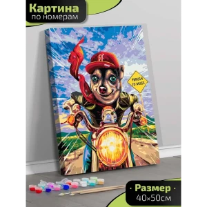 Картина по номерам Fbrush Мотоциклист 40x50 см