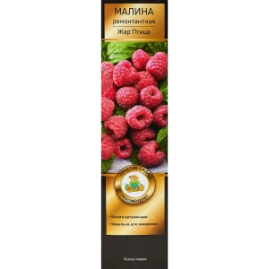 Малина Жар птица короб h35 см 89353445 STLM-2123424