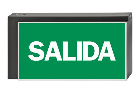 DST-817 Lisu pennant Daisalux Светильники аварийные Металлический Серый 