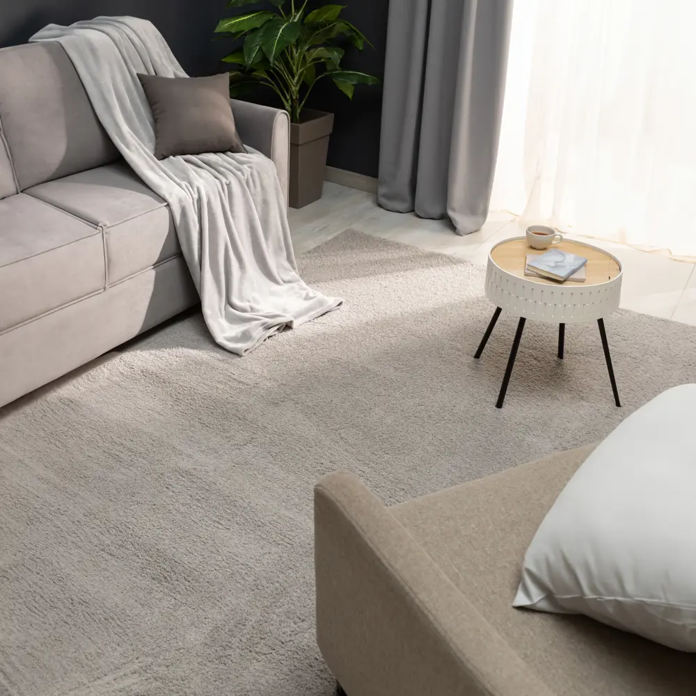Ковер полиэстер Ribera 200x300 см цвет светло-серый 82388120 STLM-2061592 Santreyd 