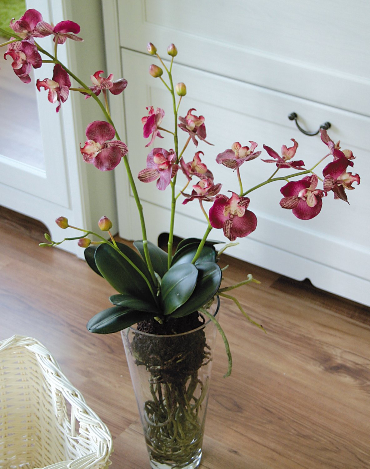 2579 420 a2 Пластиковая орхидея Phalaenopsis, ваза с водой, 80 см, real touch, вишня H-andreas  - Вид №4