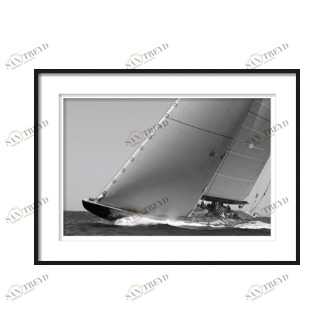 Постер / ERF1590596 INTERIOR MARKET sun-id-377174