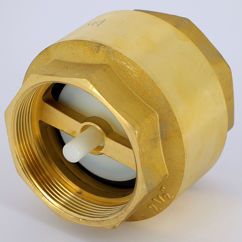 Клапан обратный пружинный EURA EXPORT с пластиковым затвором F.I.V. 2"1/2 FIV 08030212 - Вид №4