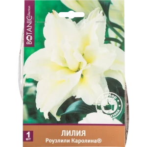 Лилия восточная махровая «Роузлили Каролина» 82539373 STLM-2200952