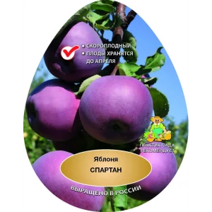 89353473 Яблоня Спартан сетка h150 см STLM-0955560