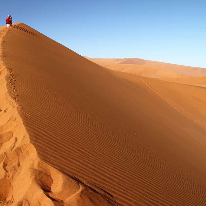 2117/CX38 Картина 2117 Adriani e Rossi 