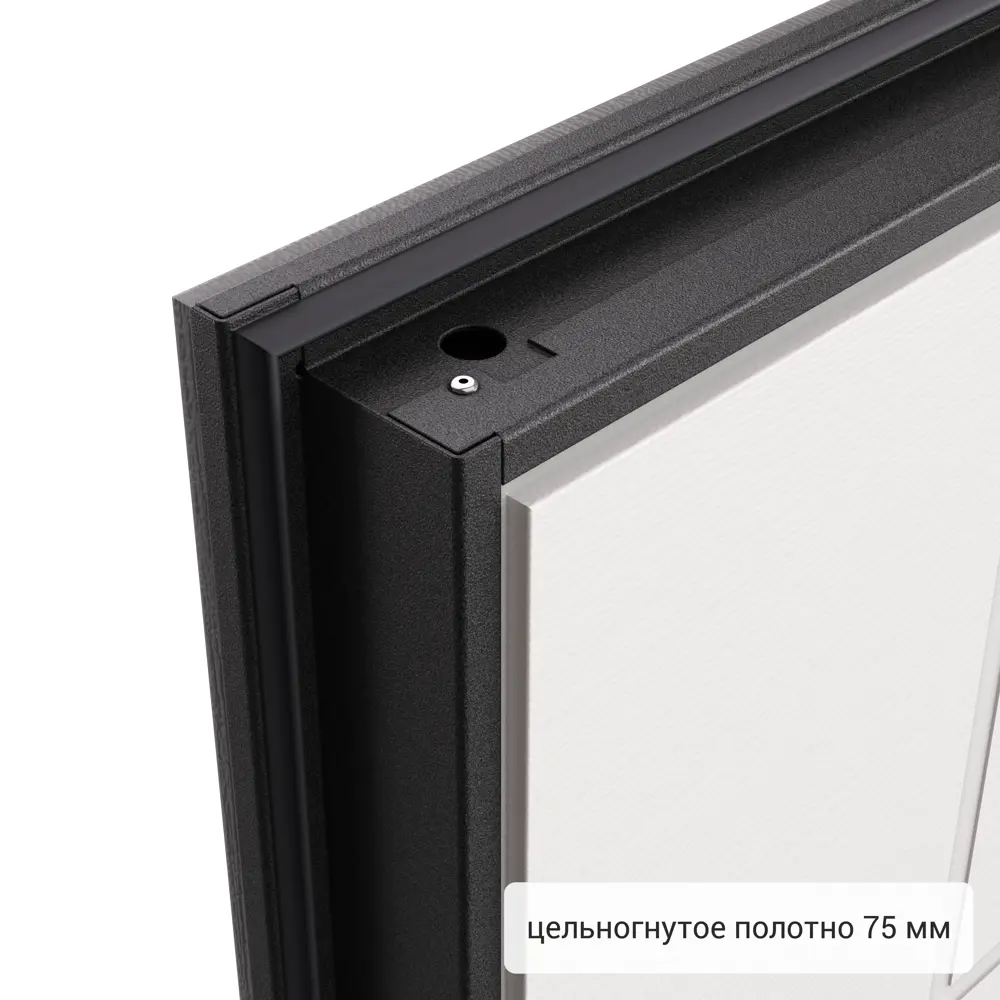 Дверь входная металлическая Хьюго 01 950 мм правая TOREX STLM-2054015 - Вид №9