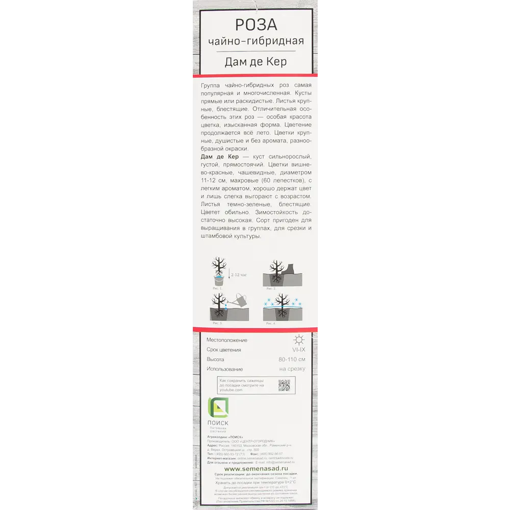 Розы чайно-гибридные «Дам де Кер» 18346229 STLM-2114989 Santreyd  - Вид №2