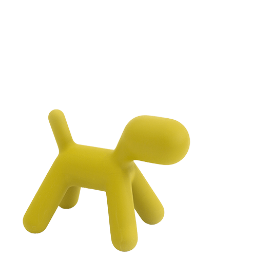 Щенок XS Magis sun-id-1328996 - Вид №5