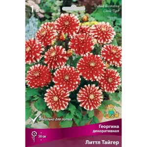 Георгина декоративная Литтл Тайгер луковица I 83593795 STLM-2049489