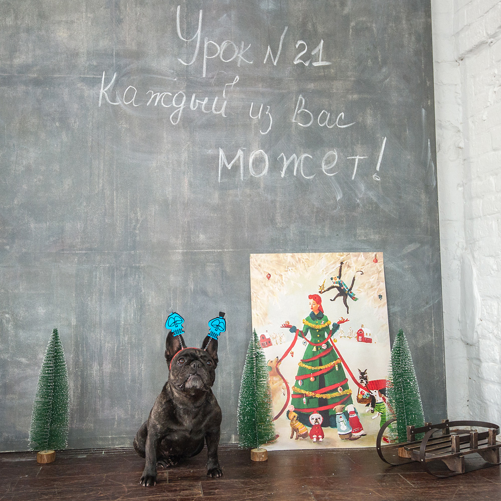 694280468_18 Арт-постер "Я просто праздник!" Object Desire  - Вид №1