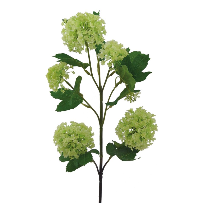 L136X8 Вилтурно Цветок Adriani e Rossi 